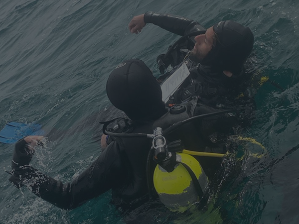 Máster rescue2