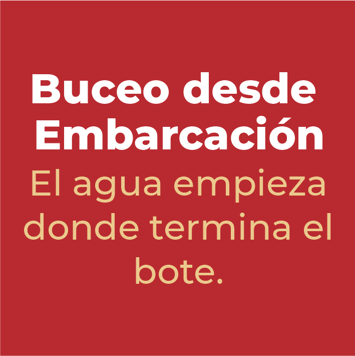 Trasera 2