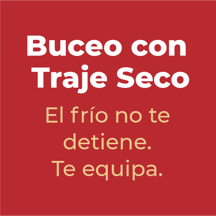 Trasera 4