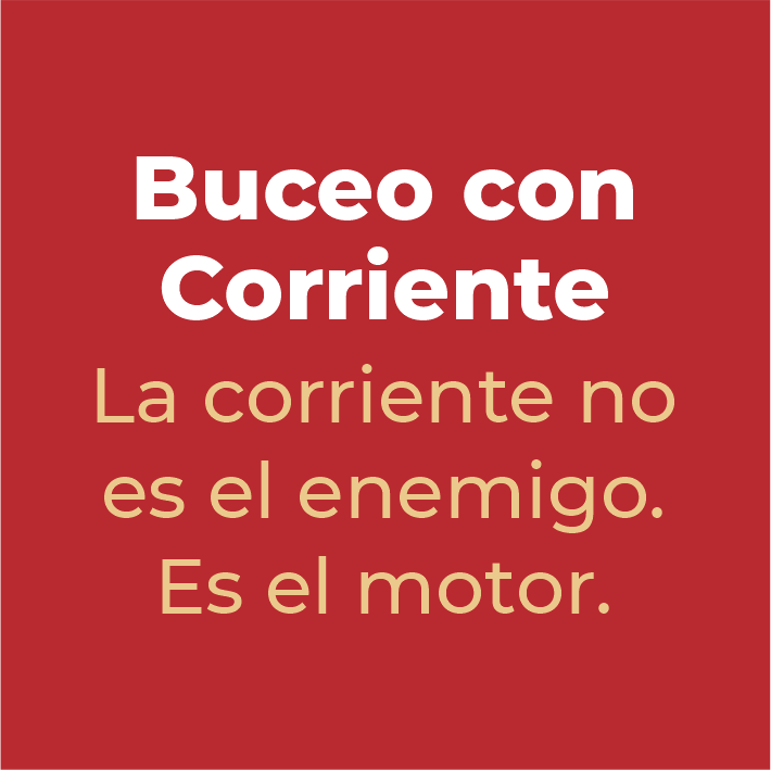 Trasera 10