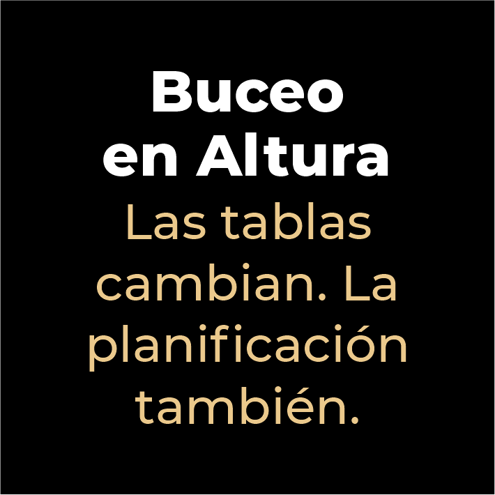 Trasera 11